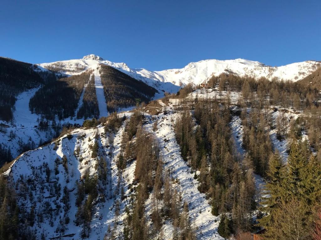 Magnifique 2 Pieces Proche Place D'Auron Exterior photo